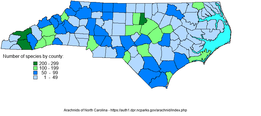 Spiders of North Carolina