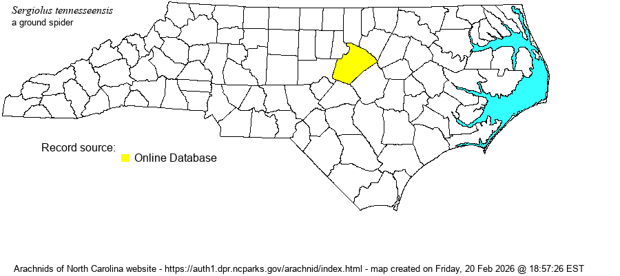 Sergiolus tennesseensis