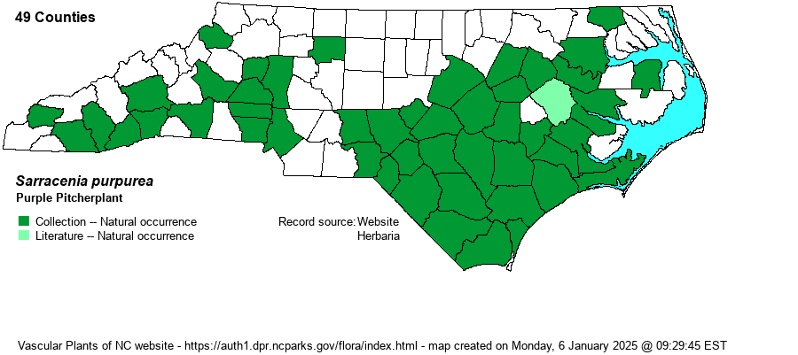 Vascular Plants of North Carolina