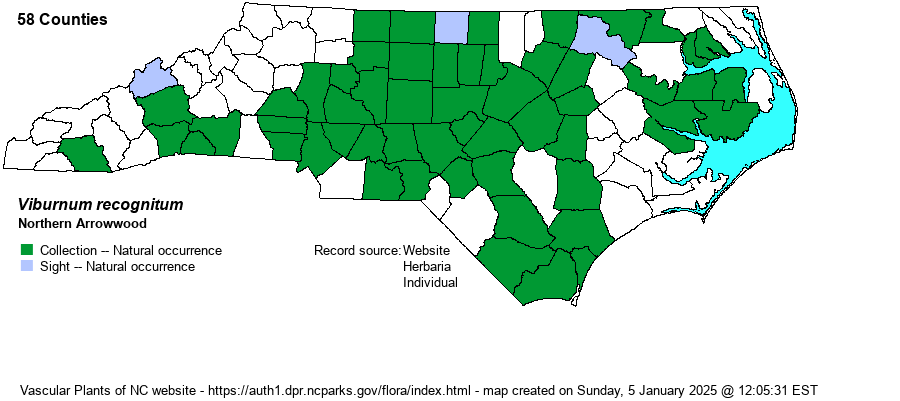 Vascular Plants of North Carolina