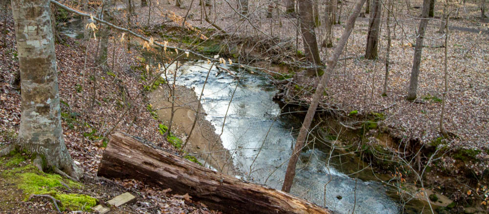 Habitats of North Carolina