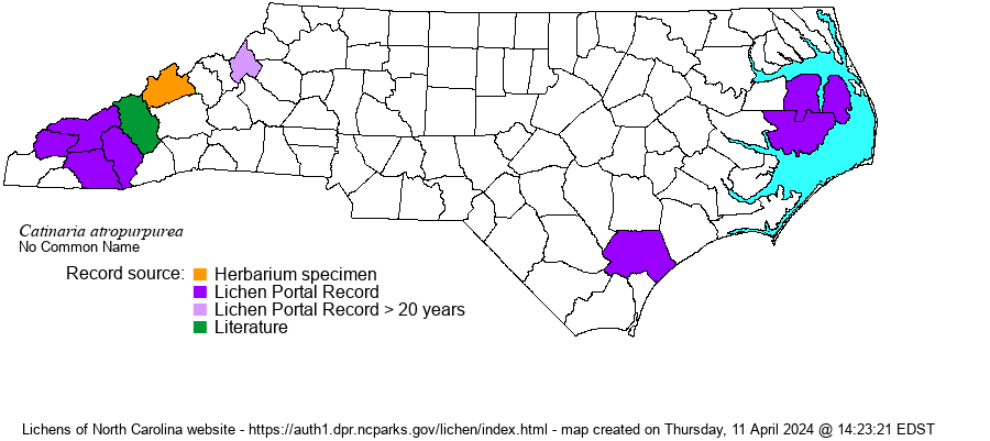 Lichens of North Carolina