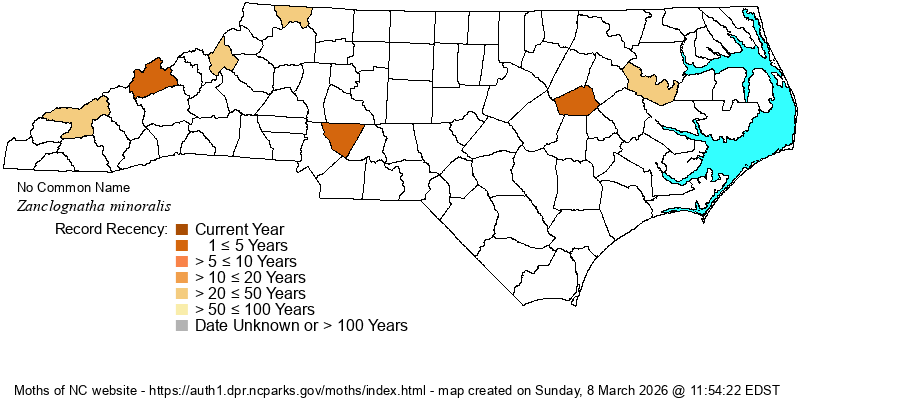 Zanclognatha minoralis