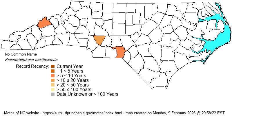 Pseudotelphusa basifasciella