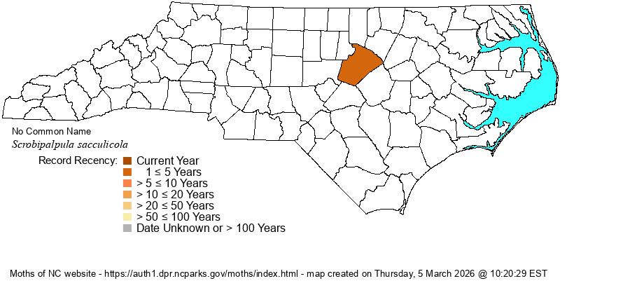 Scrobipalpula sacculicola