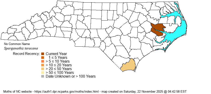 Sparganothis taracana