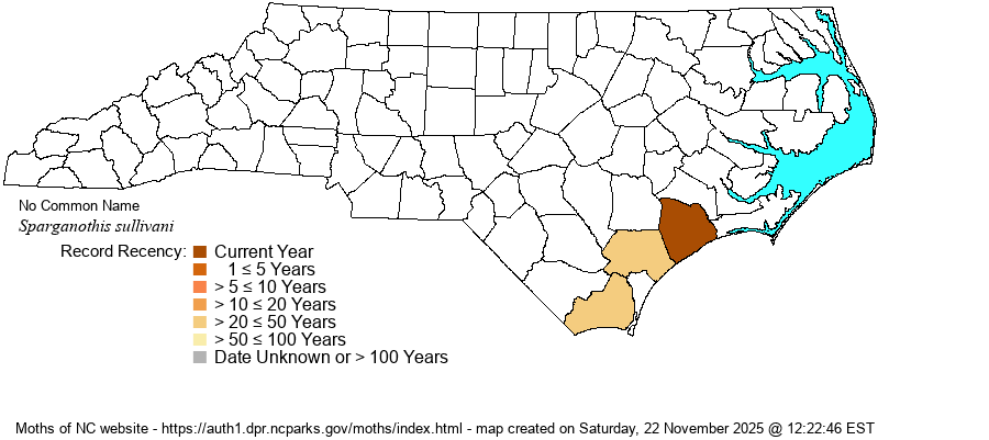 Sparganothis sullivani