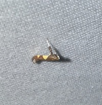 Caloptilia bimaculatella