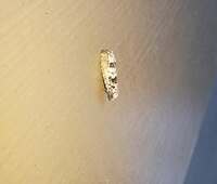 Epiblema alba