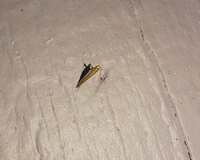 Caloptilia violacella