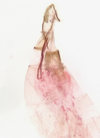 Marmara unidentified species