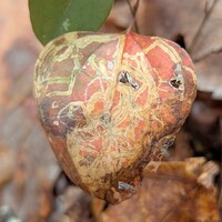 Marmara smilacisella