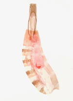 Female genitalia (in situ); Madison County; Jim Petranka.