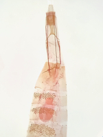 Female genitalia; Orange County; Jim Petranka.