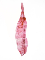 Female genitalia; Madison County; Jim Petranka.