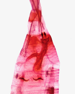 Female genitalia; Madison County; Jim Petranka.