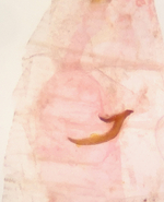 Signum in corpus bursae; Orange County; Jim Petranka. 