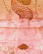 Female genitalia; Madison County; Jim Petranka.