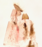Female genitalia; Orange County; Jim Petranka.