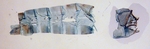 Male pelt; Wilkes County; J.B. Sullivan.