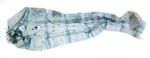 Male pelt; North Carolina; J.B. Sullivan.