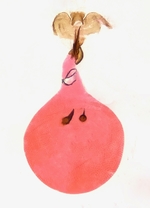 Female genitalia; Madison County; Jim Petranka.