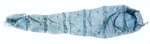 Male pelt; North Carolina; J.B. Sullivan.
