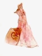 Female genitalia; Richmond County; Jim Petranka.