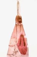 Female genitalia; Moore County; Jim Petranka.