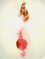Female genitalia; Harnett County; Jim Petranka.
