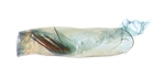 Aedeagus; North Carolina; J.B. Sullivan.