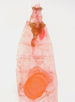 Female genitalia; Richmond County; Jim Petranka.