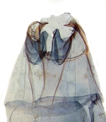 Basal termites; Carteret County; J.B. Sullivan.