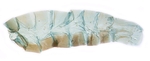 Male pelt; North Carolina; J.B. Sullivan.