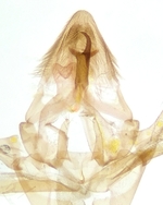 Male genitalia; Wake County; Jim Petranka.