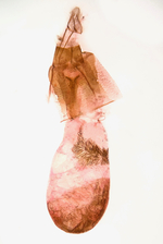 Female genitalia; Madison County; Jim Petranka. 
