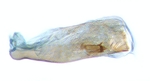 Aedeagus; North Carolina; J.B. Sullivan.