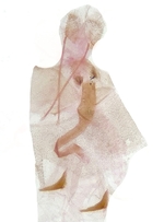 Female genitalia; Moore County; Jim Petranka.