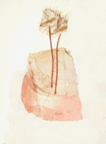 Female genitalia; Richmond County; Jim Petranka.