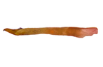 Aedeagus; Mitchell County; Jim Petranka.
