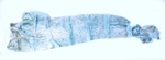 Male pelt; North Carolina; J.B. Sullivan.