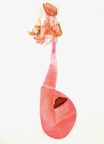 Female genitalia; Madison County; Jim Petranka.