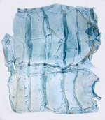 Female pelt; North Carolina; J.B. Sullivan).