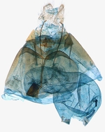 Female genitalia; North Carolina; J.B. Sullivan.