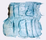 Female pelt; North Carolina; J.B. Sullivan. 