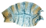 Female pelt; North Carolina; J.B. Sullivan.