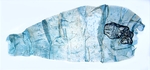 Male pelt; North Carolina; J.B. Sullivan.