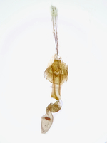 Female genitalia; Madison County; Jim Petranka.