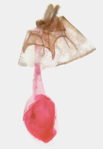 Female genitalia; Madison County; Jim Petranka.