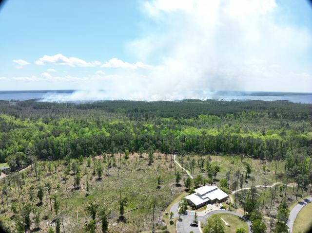  (<I></I>), Goose Creek State Park, North Carolina, United States